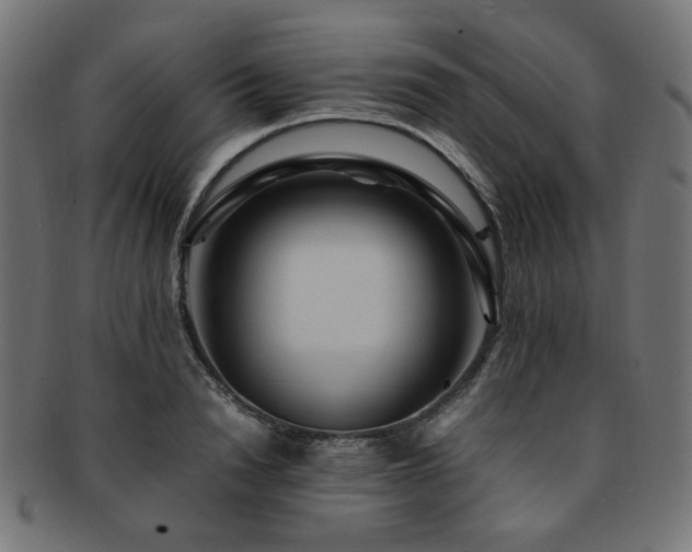 X0000092280846200709141219