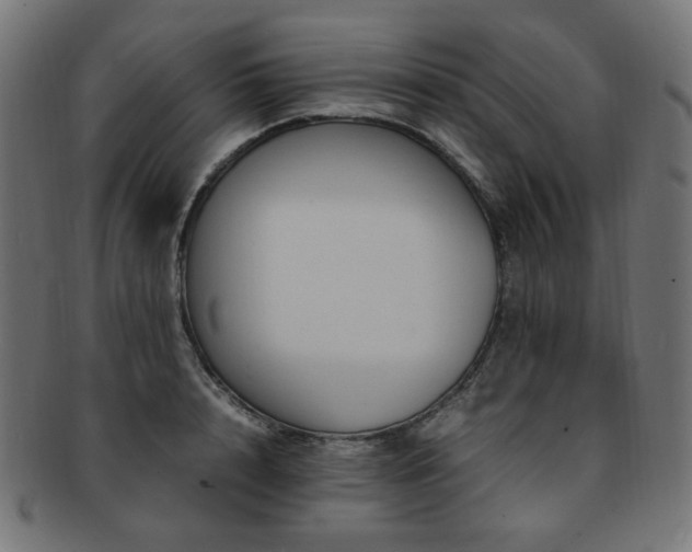 X0000092280848200709141219