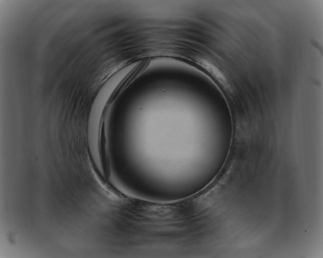 X0000092280849200709141219