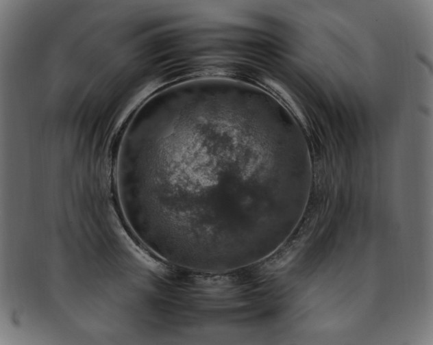 X0000092280851200709141219