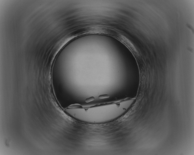 X0000092280852200709141219