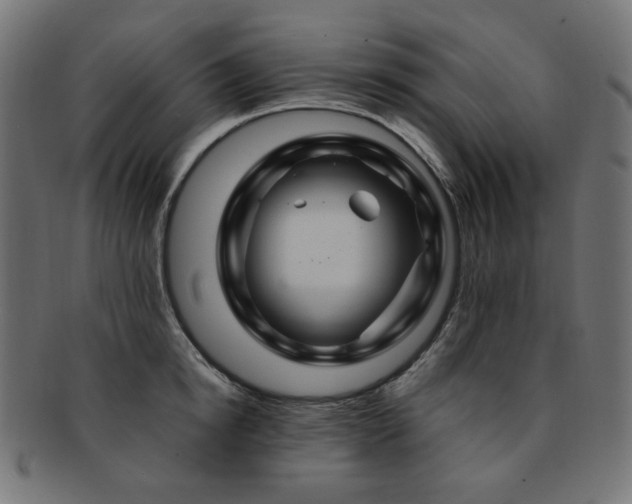 X0000092280854200709141219