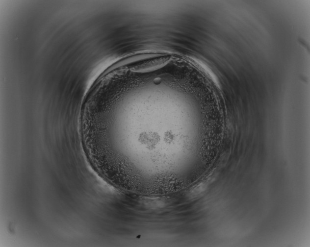 X0000092280855200709141219