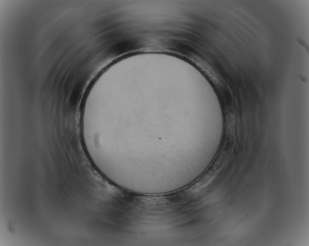 X0000092280856200709141219