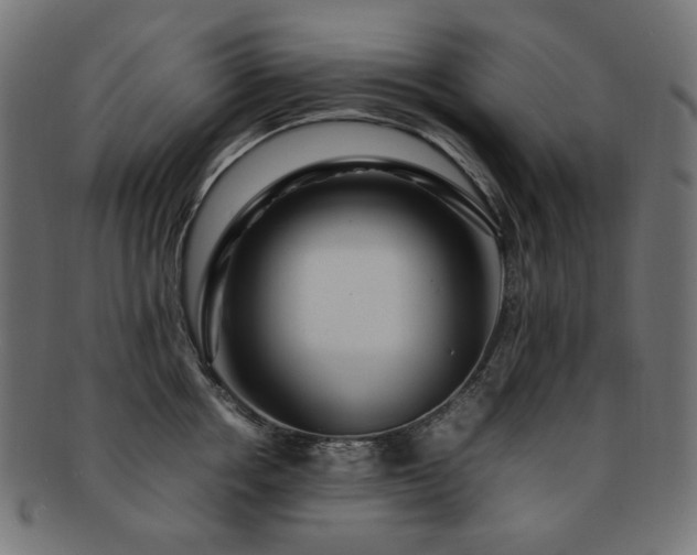 X0000092280858200709141219