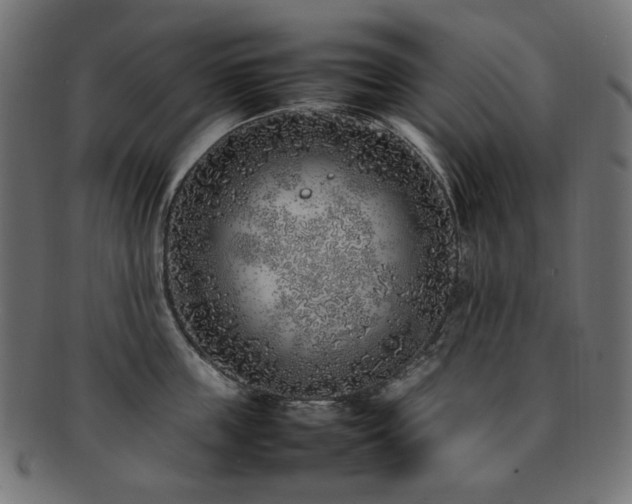 X0000092280859200709141219