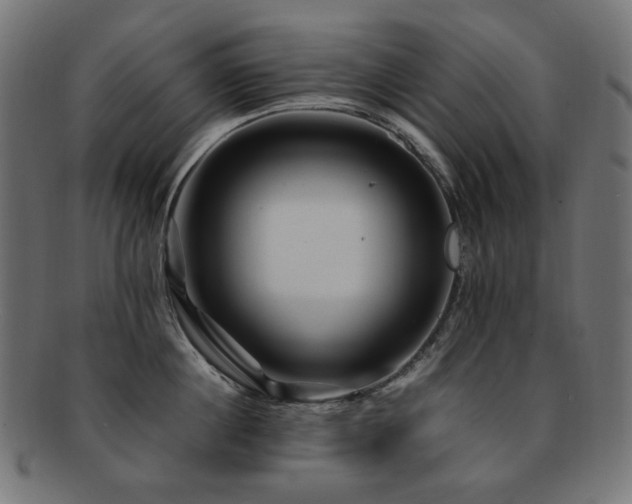 X0000092280860200709141219