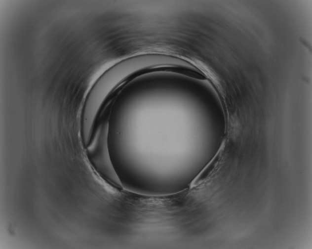 X0000092280862200709141219