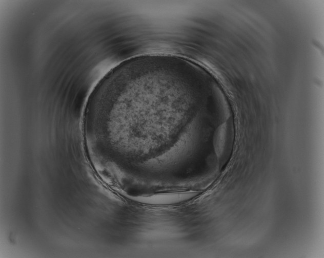 X0000092280864200709141219