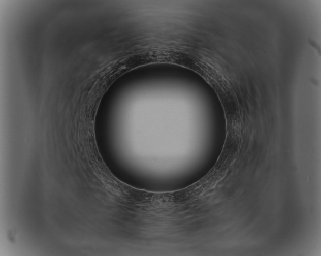 X0000092280865200709141219