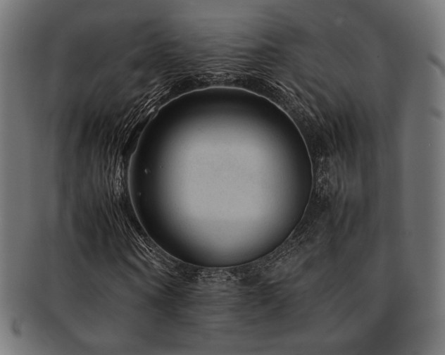 X0000092280866200709141219