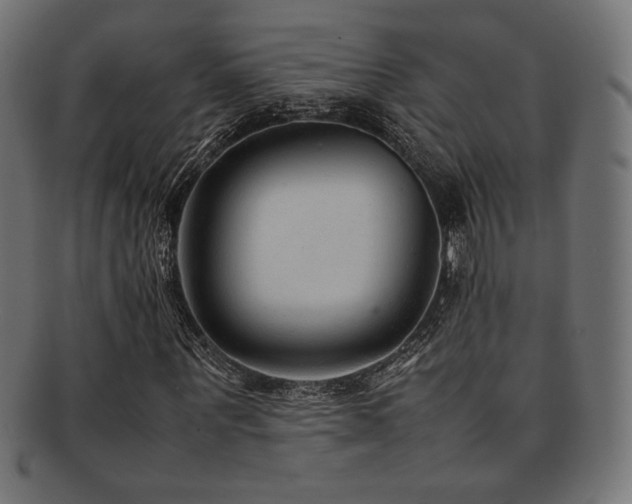 X0000092280867200709141219