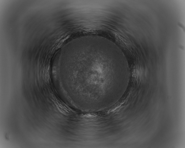 X0000092280868200709141219