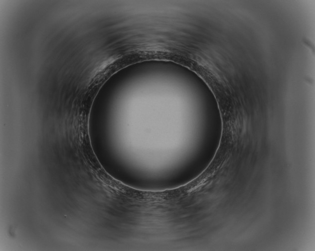 X0000092280870200709141219