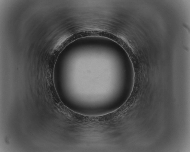 X0000092280871200709141219