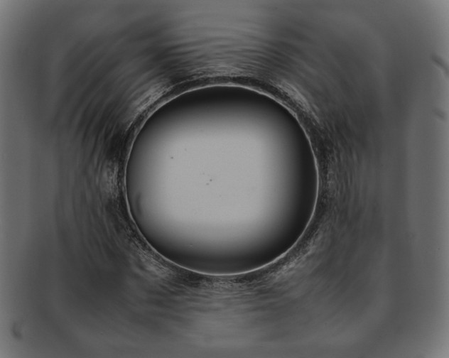 X0000092280873200709141219