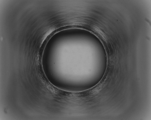 X0000092280875200709141219