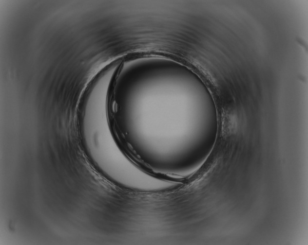 X0000092280876200709141219