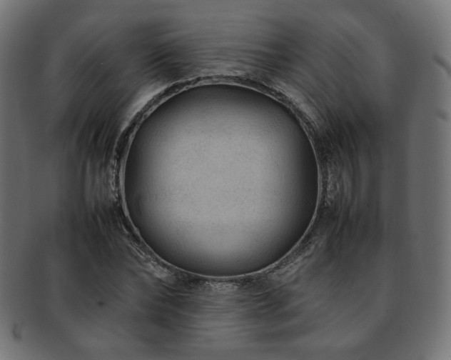 X0000092280878200709141219