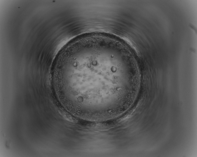 X0000092280879200709141219