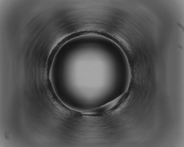 X0000092280880200709141219