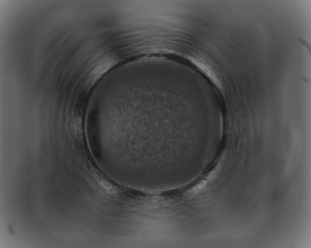 X0000092280881200709141219