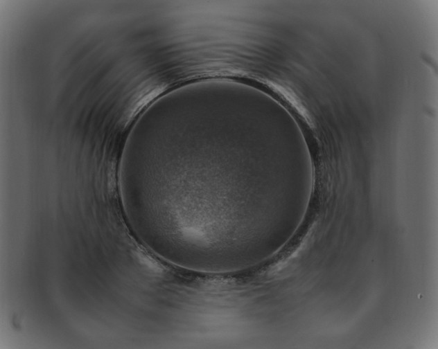 X0000092280889200709141218