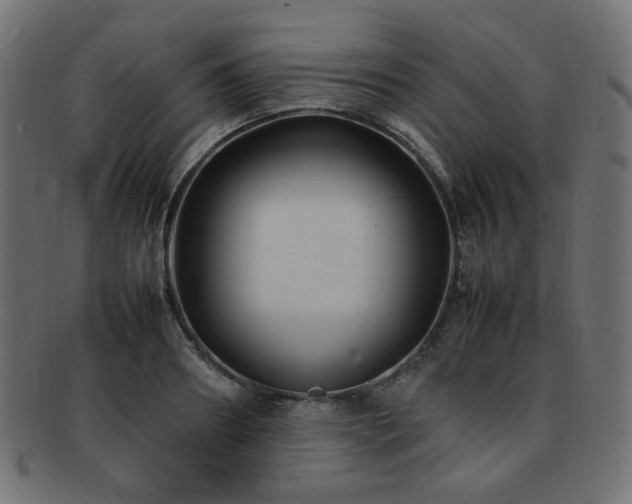 X0000092280890200709141218