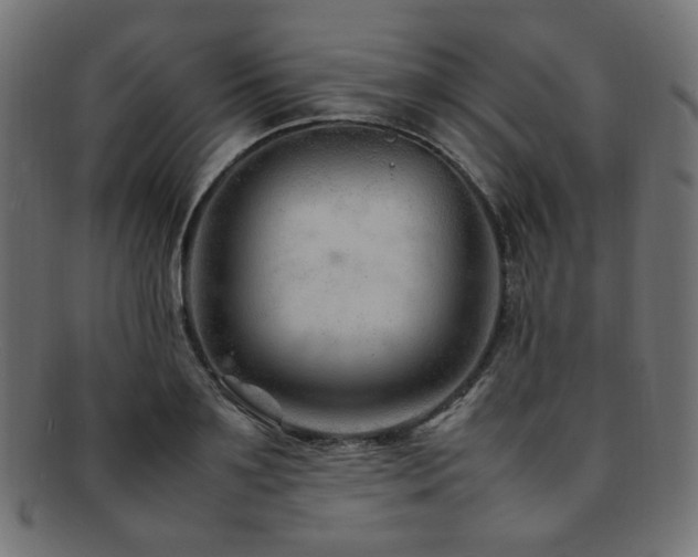 X0000092280891200709141218