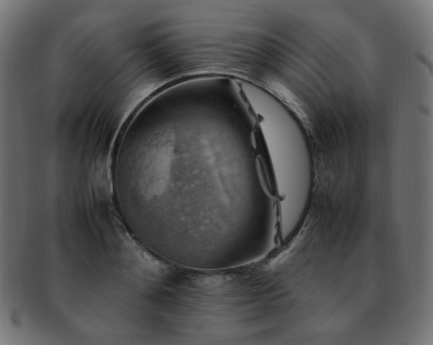 X0000092280892200709141218