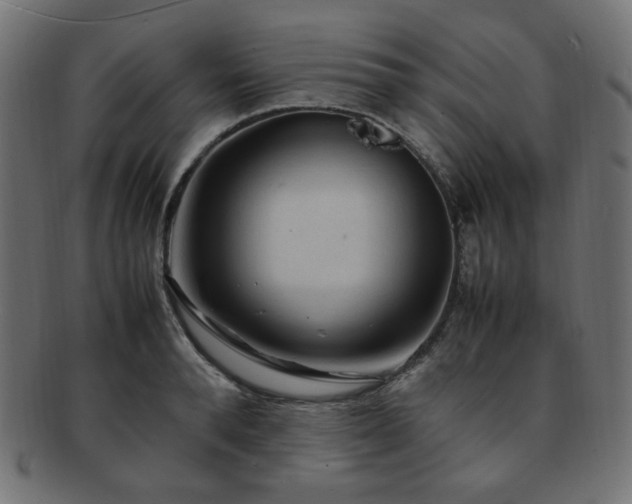 X0000092280896200709141218