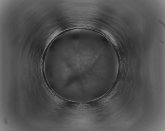 X0000092280899200709141218