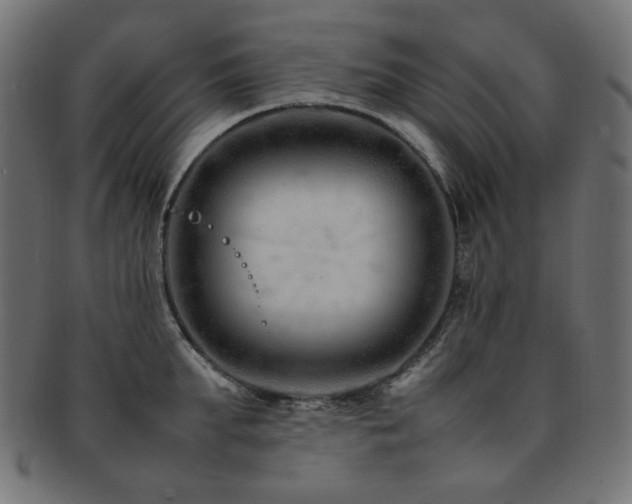 X0000092280903200709141218