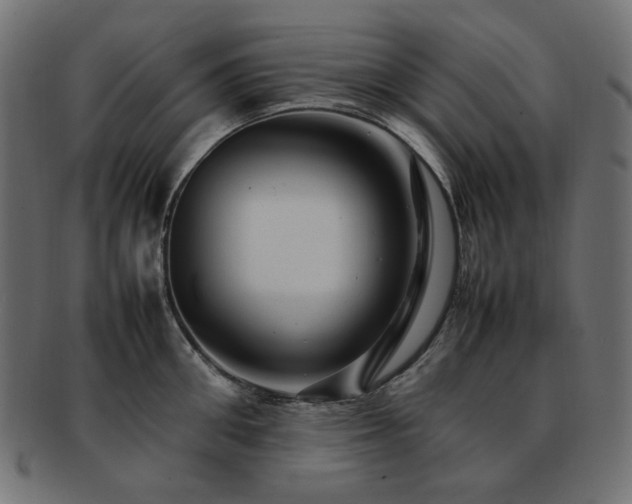 X0000092280906200709141218