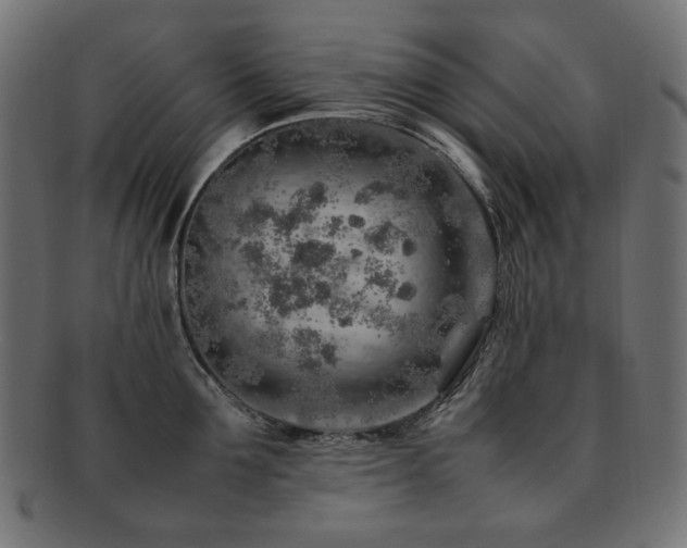 X0000092280907200709141218