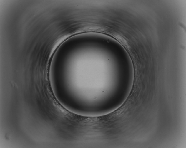 X0000092280912200709141218