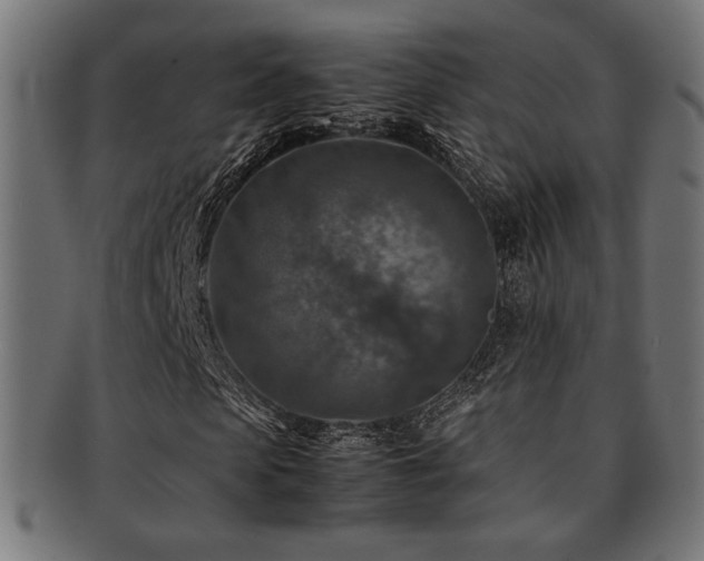 X0000092280913200709141217