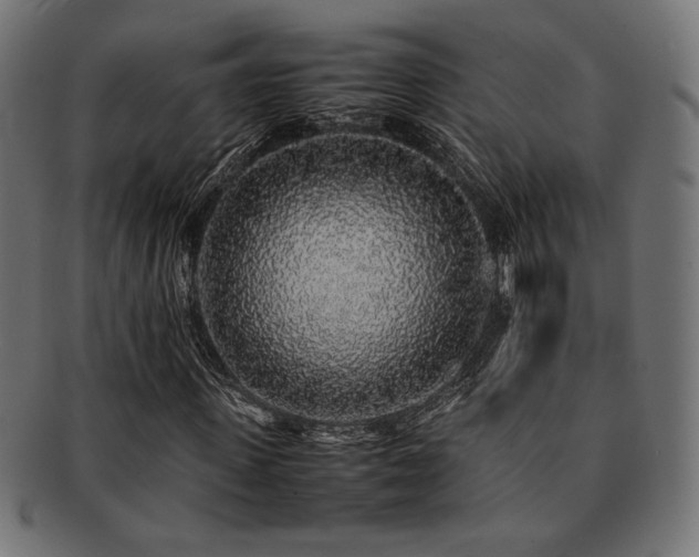 X0000092280915200709141217