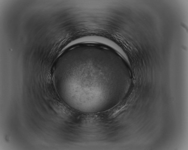 X0000092280916200709141217