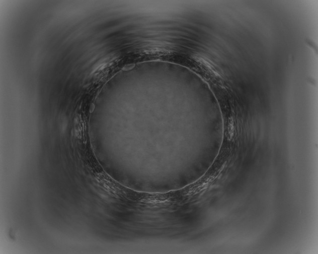 X0000092280917200709141217