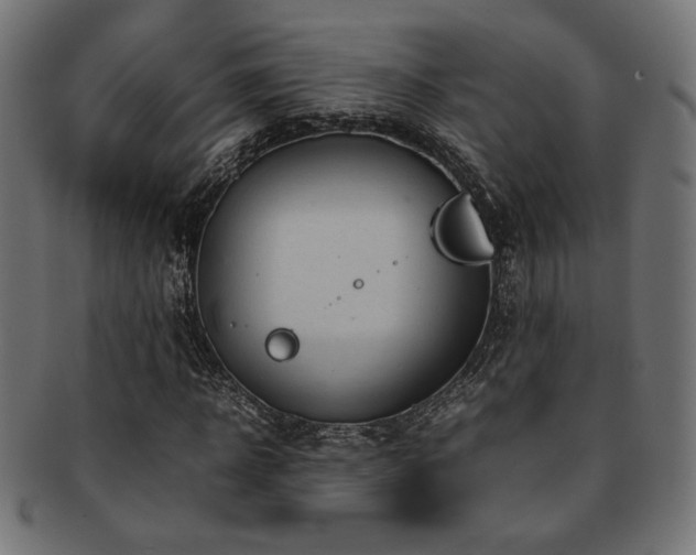 X0000092280918200709141217