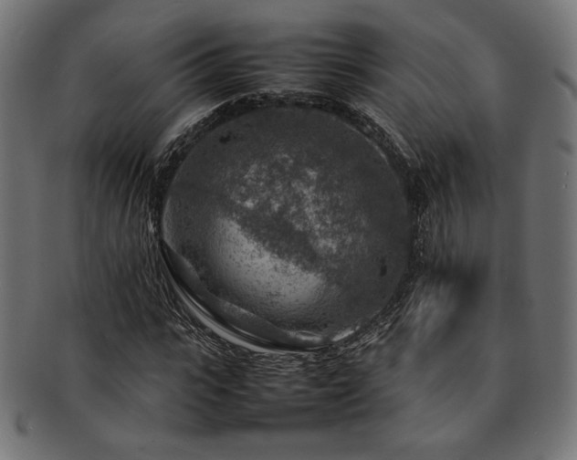 X0000092280919200709141217