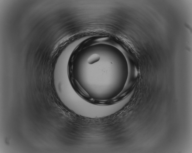 X0000092280920200709141217