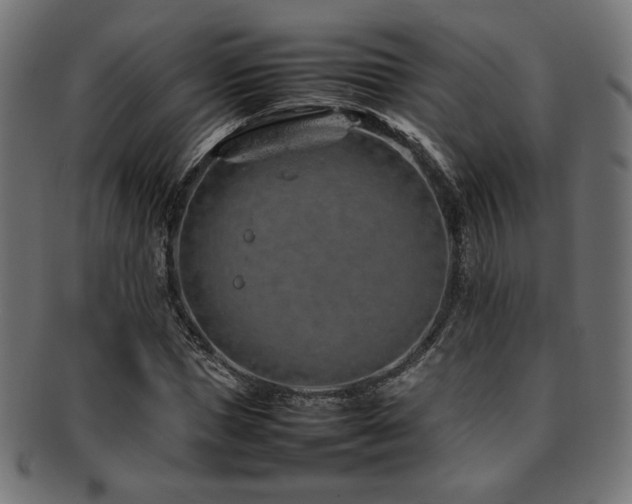 X0000092280921200709141218