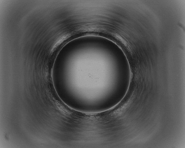 X0000092280922200709141218