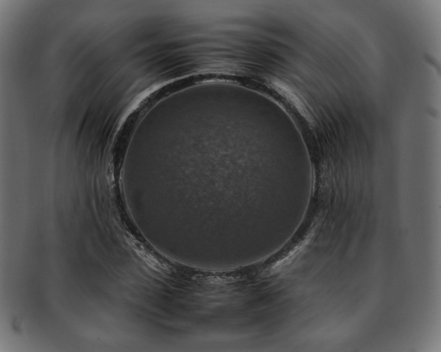 X0000092280923200709141218