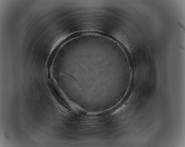 X0000092280925200709141218