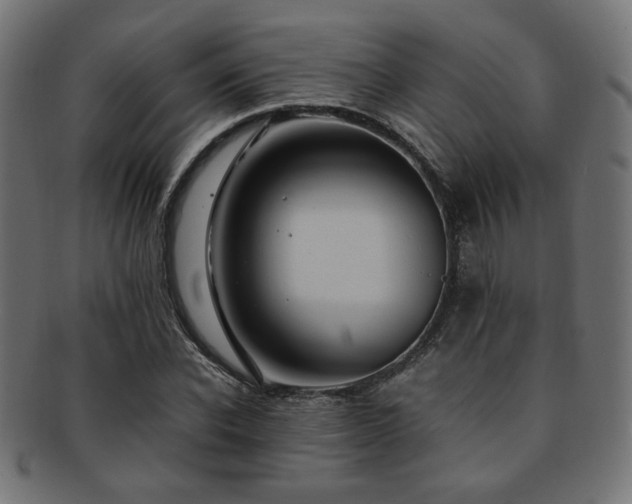 X0000092280926200709141218