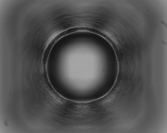 X0000092280927200709141218