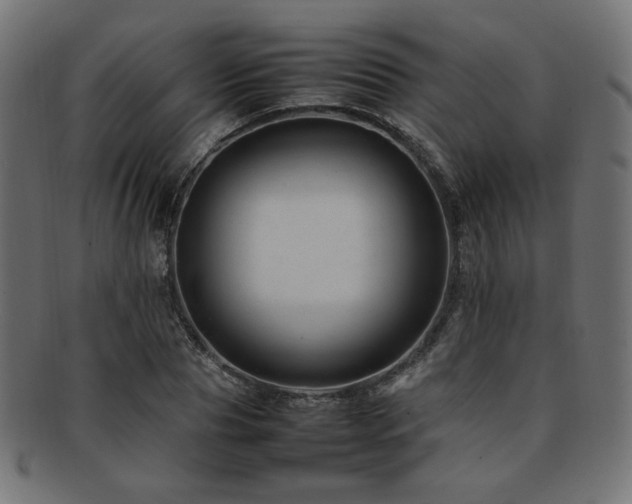 X0000092280929200709141218